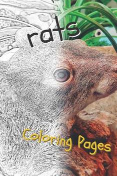 Paperback Rat Coloring Pages: Beautiful Rats Drawings for Kids and for Adults Relaxation Book