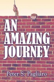 Paperback An Amazing Journey Book