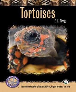 Paperback Tortoises: A Comprehensive Guide to Russian Tortoises, Leopard Tortoises, and More Book