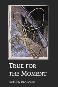 Paperback True for the Moment Book