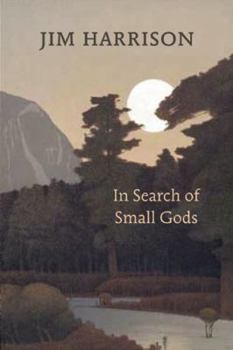 Hardcover In Search of Small Gods Book