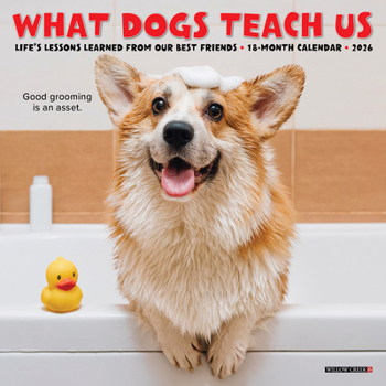 Mini-Disc What Dogs Teach Us 2026 Mini Wall Calendar Book