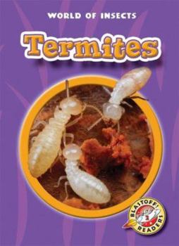 Library Binding Termites Book