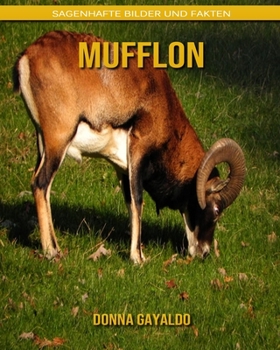 Paperback Mufflon: Sagenhafte Bilder und Fakten [German] Book
