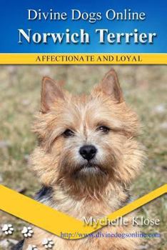 Norwich Terrier: Divine Dogs Online