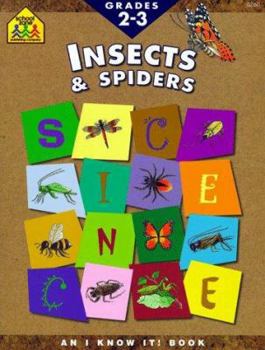Paperback Insects & Spiders: Grades 2-3 Book