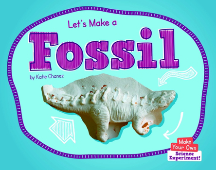 Library Binding Let's Make a Fossil Book