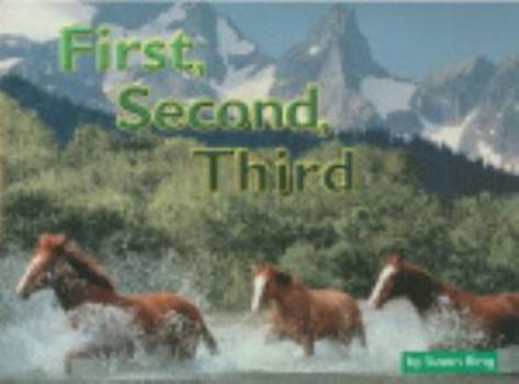 Paperback First, Second, Third, Math: Leveled Reader Grades K - 1 (Steck-vaughn Shutterbug Books) Book