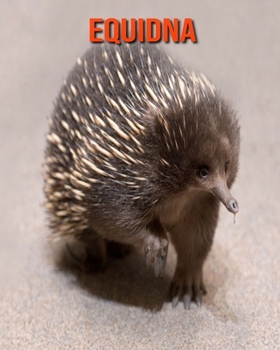 Paperback Equidna: Libro para ni?os con im?genes asombrosas y datos curiosos sobre los Equidna [Spanish] Book