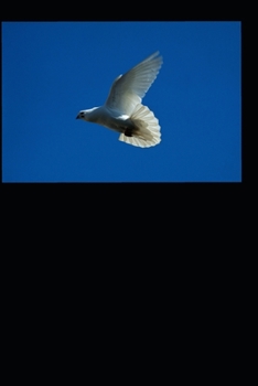 Paperback Christian Essays Book