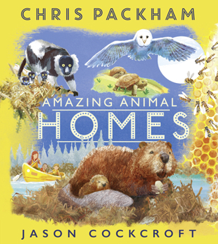 Paperback Amazing Animal Homes Book