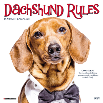 Calendar Dachshund Rules 2024 7 X 7 Mini Wall Calendar Book