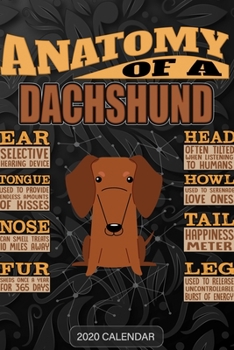 Paperback Anatomy Of A Dachshund: Dachshund 2020 Calendar - Customized Gift For Dachshund Dog Owner Book
