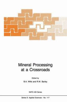 Hardcover Mineral Processing at a Crossroads: Problems and Prospects Book