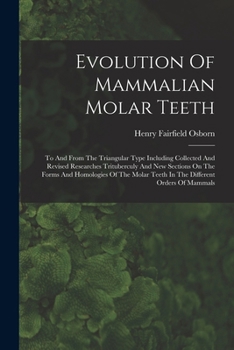 Paperback Evolution Of Mammalian Molar Teeth: To And From The Triangular Type Including Collected And Revised Researches Trituberculy And New Sections On The Fo Book