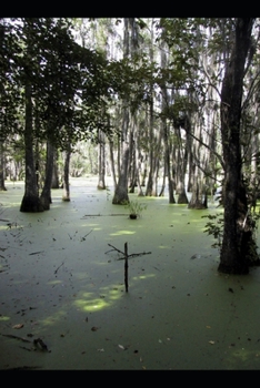 THE THEOLOGY OF RIVERS - Rivers of Paradise, Grace, and the Restoration of All Things: A Patristic Exploration of Water in the Divine Economy