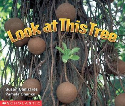 Paperback Look At This Tree (Science Emergent Readers) Book