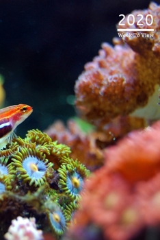 2020 A5 Diary Week To View Planner For All Occasions: | Year Planner For Business, Office, Home, University, College, School, Appointments, Organizer.