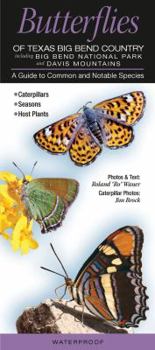 Pamphlet Butterflies of Texas Big Bend Country Incl. Big Bend National Park & Davis Mtns.: A Guide to Common & Notable Species Book