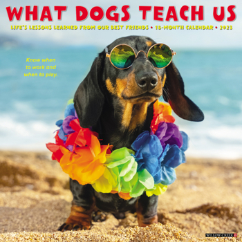 Calendar What Dogs Teach Us 2023 Wall Calendar Book