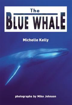 Paperback The Blue Whale [New Heights] Book