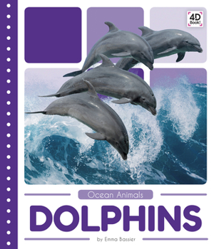 Paperback Dolphins Book