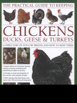 Hardcover The Practical Guide to Keeping Chickens, Duck, Geese & Turkeys: A Directory of Poultry Breeds and How to Keep Them: With Step-By-Step Instructions and Book