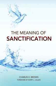 Paperback The Meaning of Sanctification Book