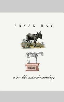 Paperback A Terrible Misunderstanding Book