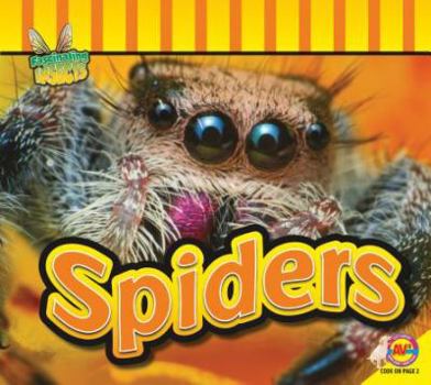 Hardcover Spiders Book