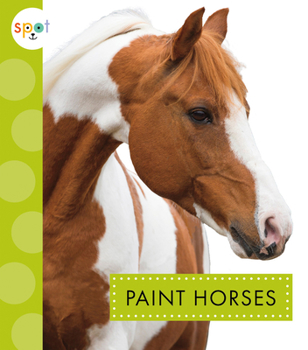 Paperback Paint Horses Book