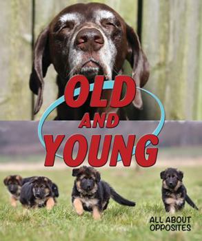 Old and Young - Book  of the All About Opposites