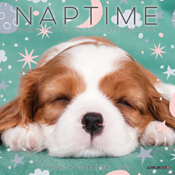 Calendar Naptime (Dogs) 2023 Mini Wall Calendar Book