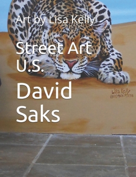 Paperback Street Art U.S.: Art by Lisa Kelly Book