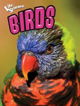 Paperback Birds Book