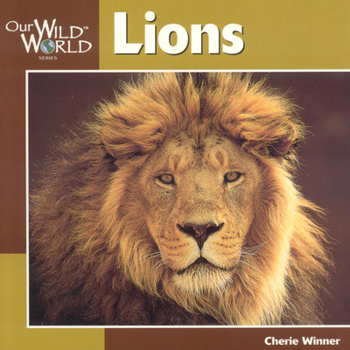 Hardcover Lions (Our Wild World) Book