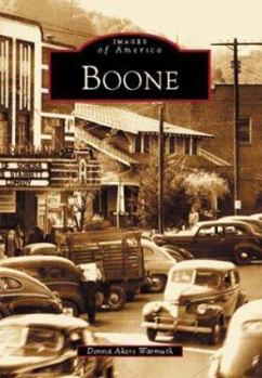 Paperback Boone Book