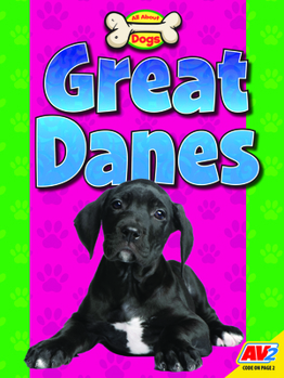 Paperback Great Danes Book