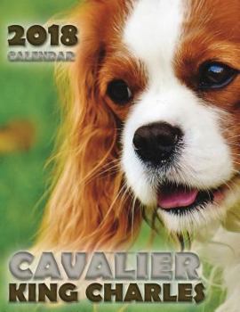 Paperback Cavalier King Charles 2018 Calendar Book