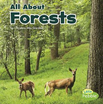 Paperback All about Forests Book