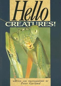 Paperback Hello Creatures! Book