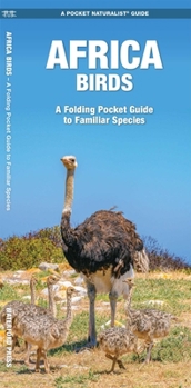 Paperback Africa Birds: A Folding Pocket Guide to Familiar Species Book