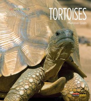 Tortoises - Book  of the Living Wild