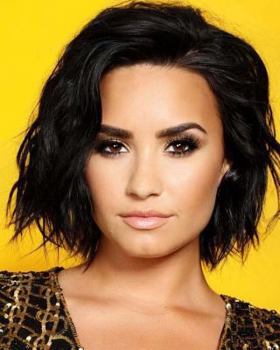 Paperback Demi Lovato Diary Book