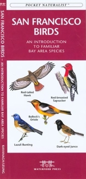 Pamphlet Seattle Birds: An Introduction to Familiar Species Book