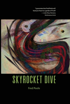 Paperback Skyrocket Dive Book