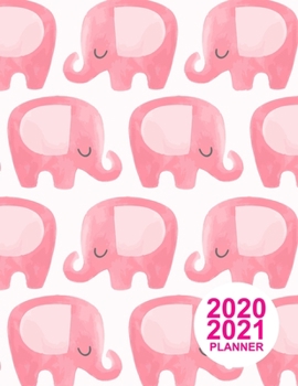 2020 2021 Planner: Nifty Daily, Weekly and Monthly Planner 2 Years | Agenda Schedule Organizer Logbook and Personal Journal Diary | 24 Months Calendar ... Book | Cover Design Code DT 00102994