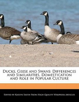 Ducks, Geese and Swans : Differences and Similarities, Domestication and Role in Popular Culture