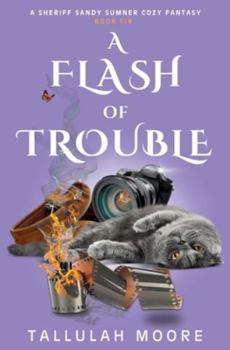 Paperback A Flash of Trouble Book