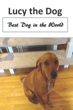 Paperback Lucy The Dog Book